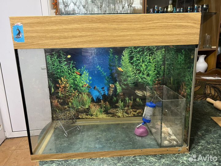 Аквариум