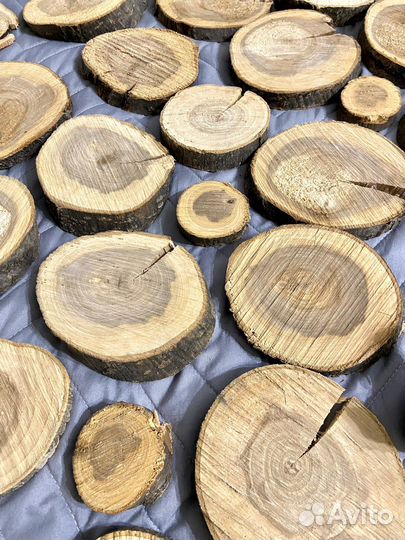 Спилы дерева для декора