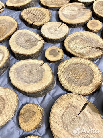 Спилы дерева для декора