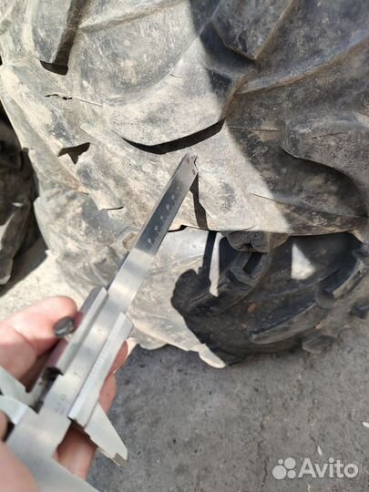 Cst wild thang 28x12-12 28x10-12