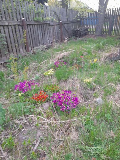 Участок 11 сот. (ИЖС)