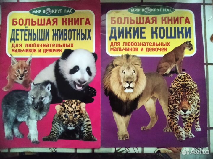 Книга для любознательных девочек и мальчиков