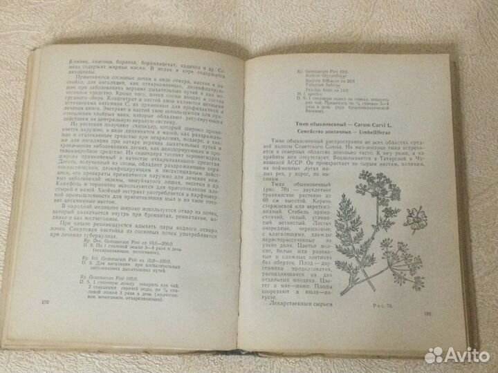 Лекарственные растения в медицине