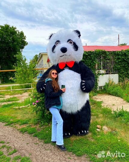 Большой белый медведь и панда поздравление