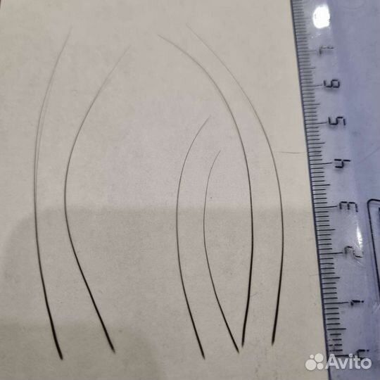 Вибриссы (кошачий ус)