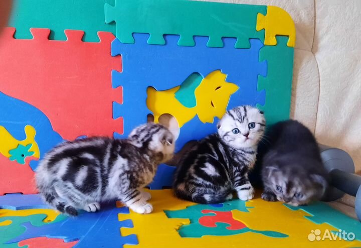 Классные плюшевые малыши