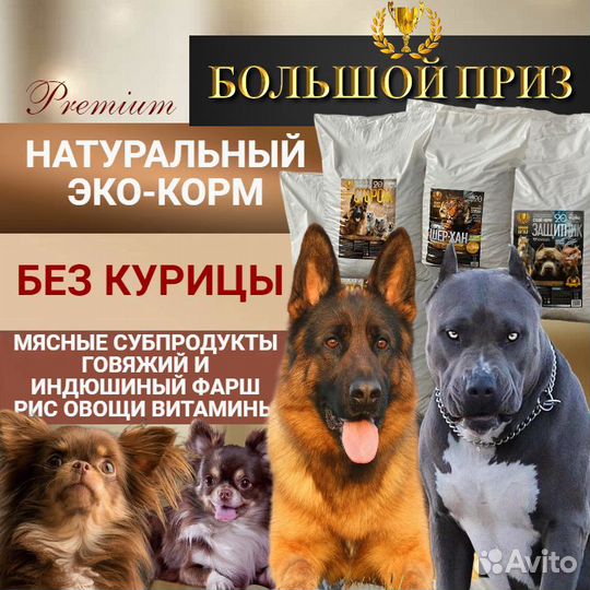 Корм для собак с доставкой в г. Псков