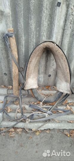 Хомуты для лошадей