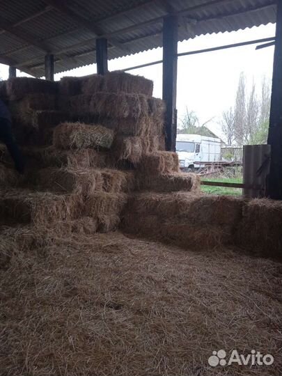 Сено в тюках