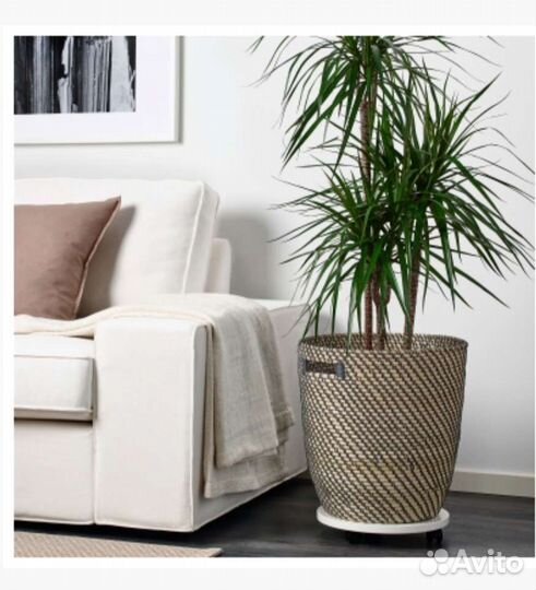 Кашпо Рогкорн. Икеа