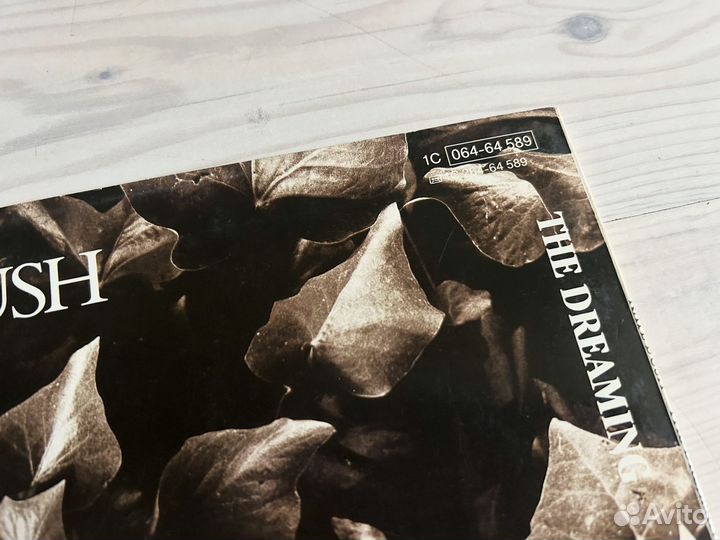 Винил Kate Bush – The Dreaming (LP) Eur 1982