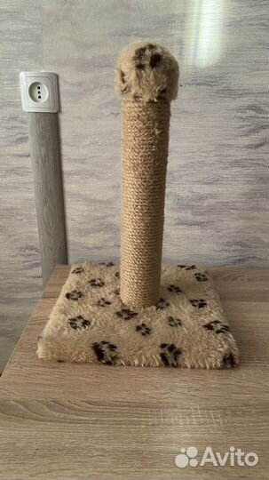 Когтеточка