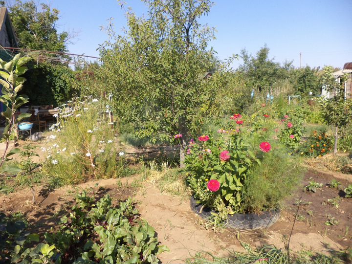 Дача 24 м² на участке 6 сот.