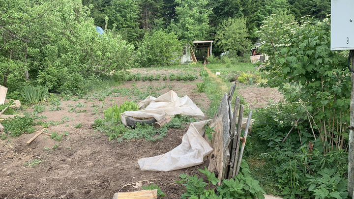 Участок 5 сот. (СНТ, ДНП)