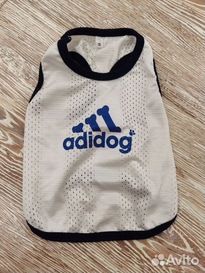 Одежда для маленьких собак