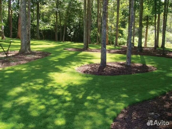 Теневой газон 10кг