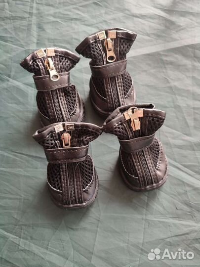 Ботиночки для собак мелких пород