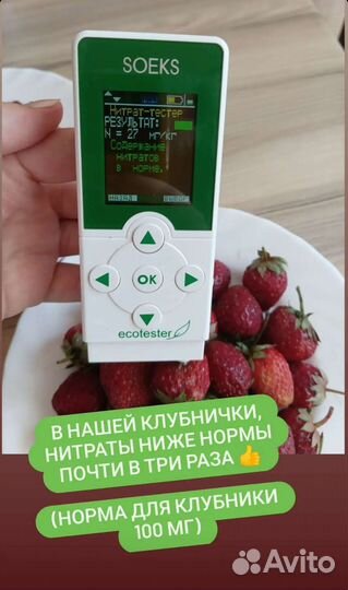 Клубника и др. ягоды из Киргизии