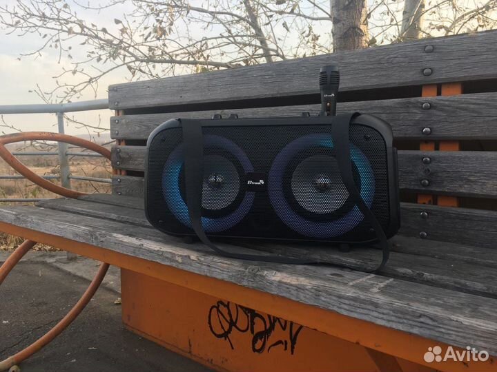 Музыкальная колонка с радио Eltronic