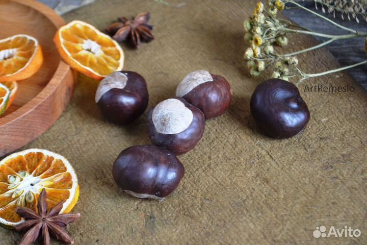 Шишки, желуди, орехи природные материалы