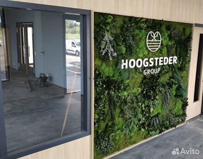 Название компании из мха с растениями