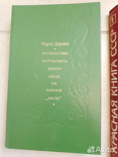 Кораллы. Ч. Дарвин