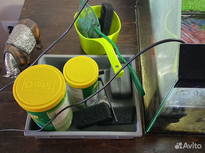 Черепаха с приданым