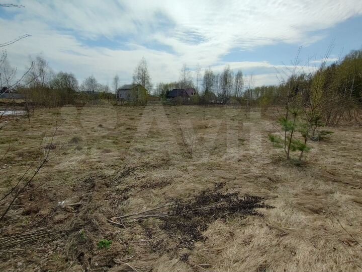 Участок 15,5 сот. (ИЖС)