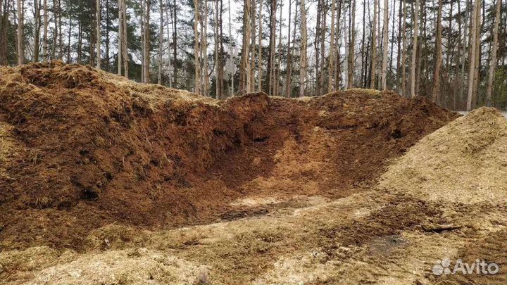 Конский навоз