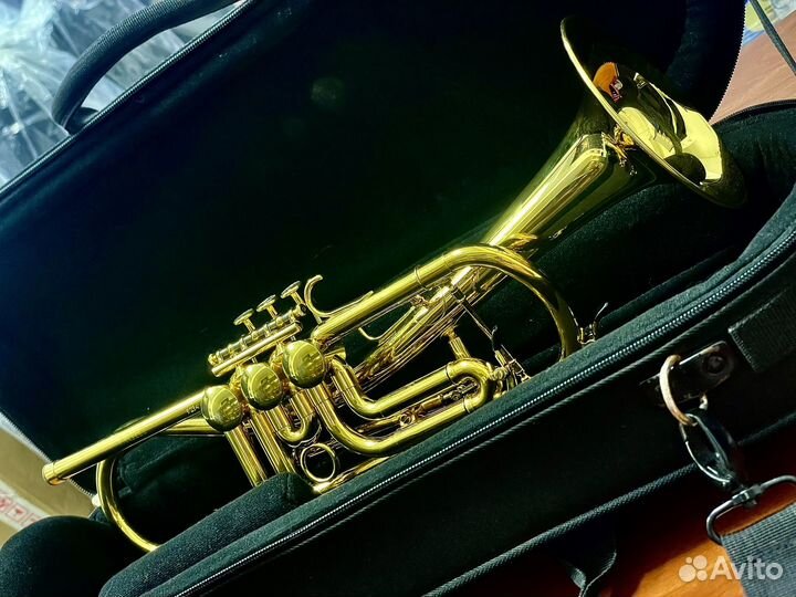 Труба Bb Schagerl Ganschhorn Light