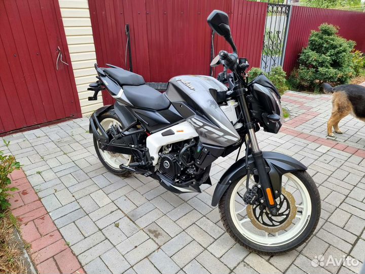 Bajaj Pulsar NS200