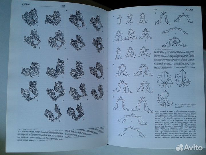 Энциклопедия виноградарства Цена за одну книгу