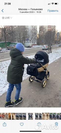 Коляска Adamex chantal 2 в 1