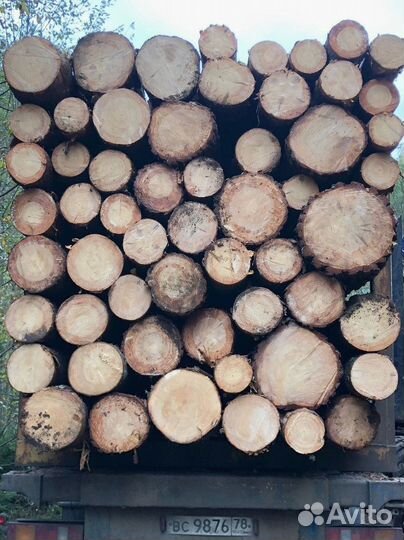 Лес кругляк опт