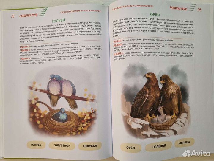 Янушко, Годовой курс развивающих занятий от 4 до 5