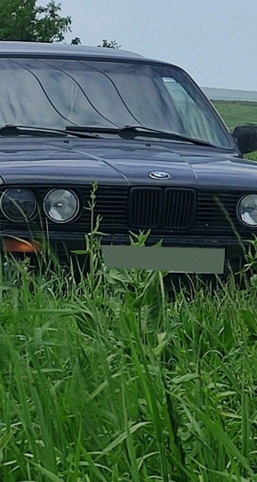 BMW 3 серия: фото владельца