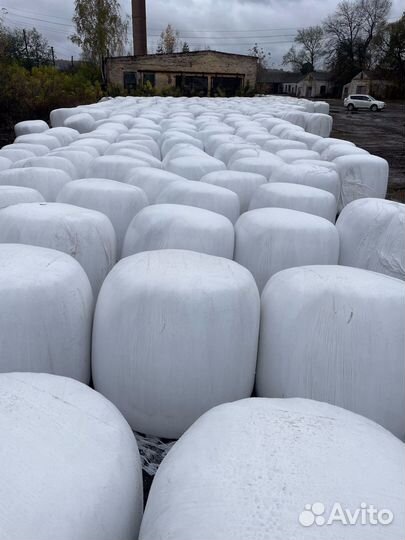 Жом свекловичный