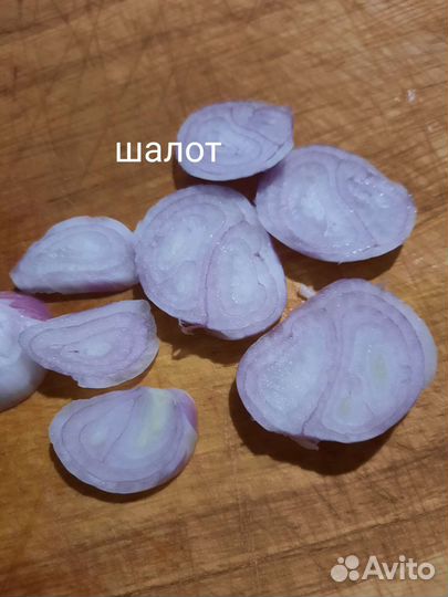 Лук семейный шалот и кундымкарский