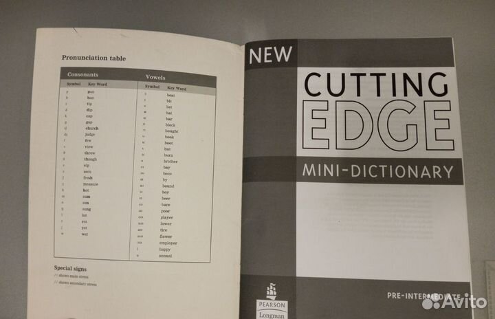 Mini dictionary new cutting edge pre intermediate