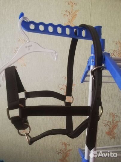 Недоуздок для лошади