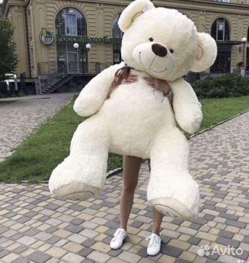 Плюшевый медведь