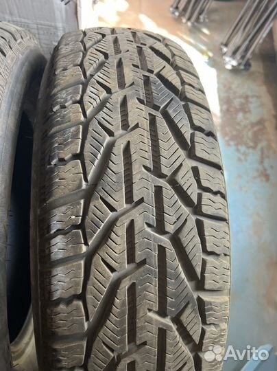 Tigar Winter 185/65 R15