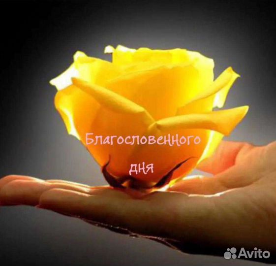 Услуги сиделки