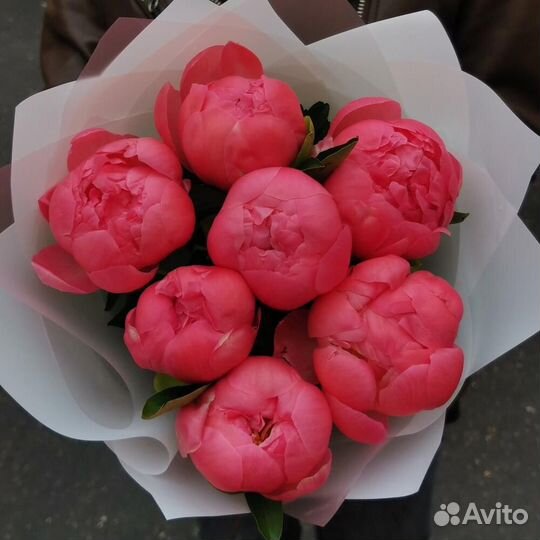 Пионы оптом и поштучно