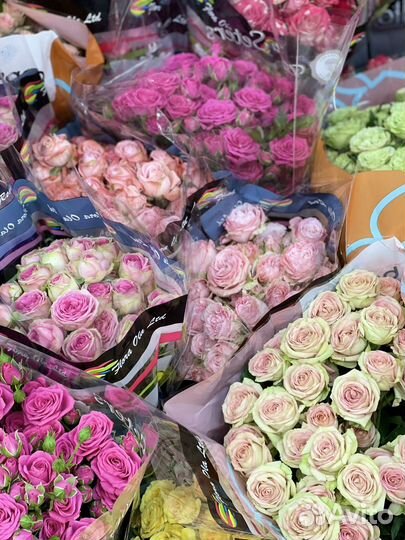 Кустовые розы