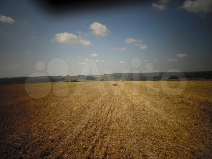 Участок 82 га (СНТ, ДНП)