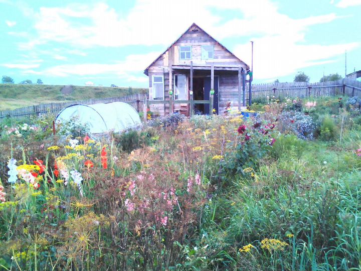 Участок 13 сот. (СНТ, ДНП)