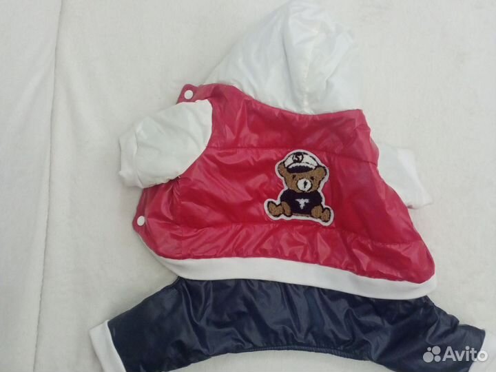 Костюм для средней собаки