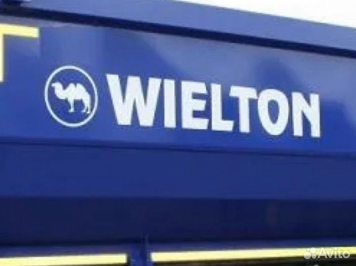 Гидроцилиндр на wielton вельтон вэлтон 169-5-07130