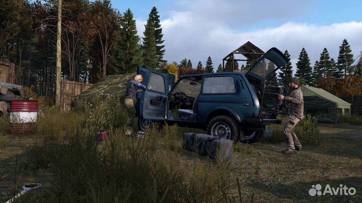 DayZ (Steam)